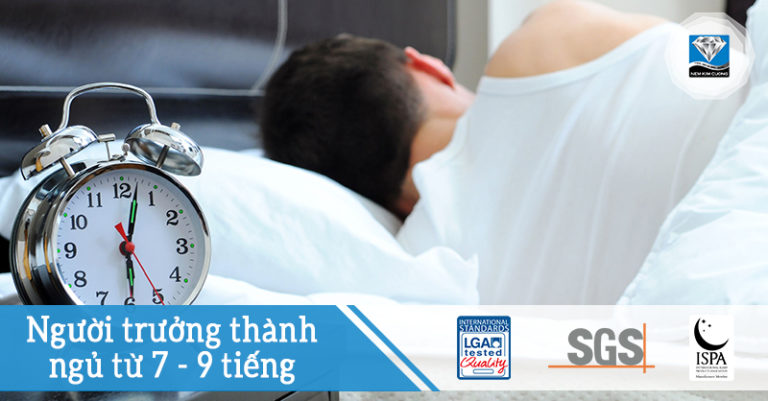 NGƯỜI TRƯỞNG THÀNH MẤT BAO NHIÊU GIỜ ĐỂ NGỦ?