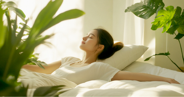 Nệm organic là gì? Tại sao xu hướng “sống xanh - ngủ organic” lại được ưa chuộng?