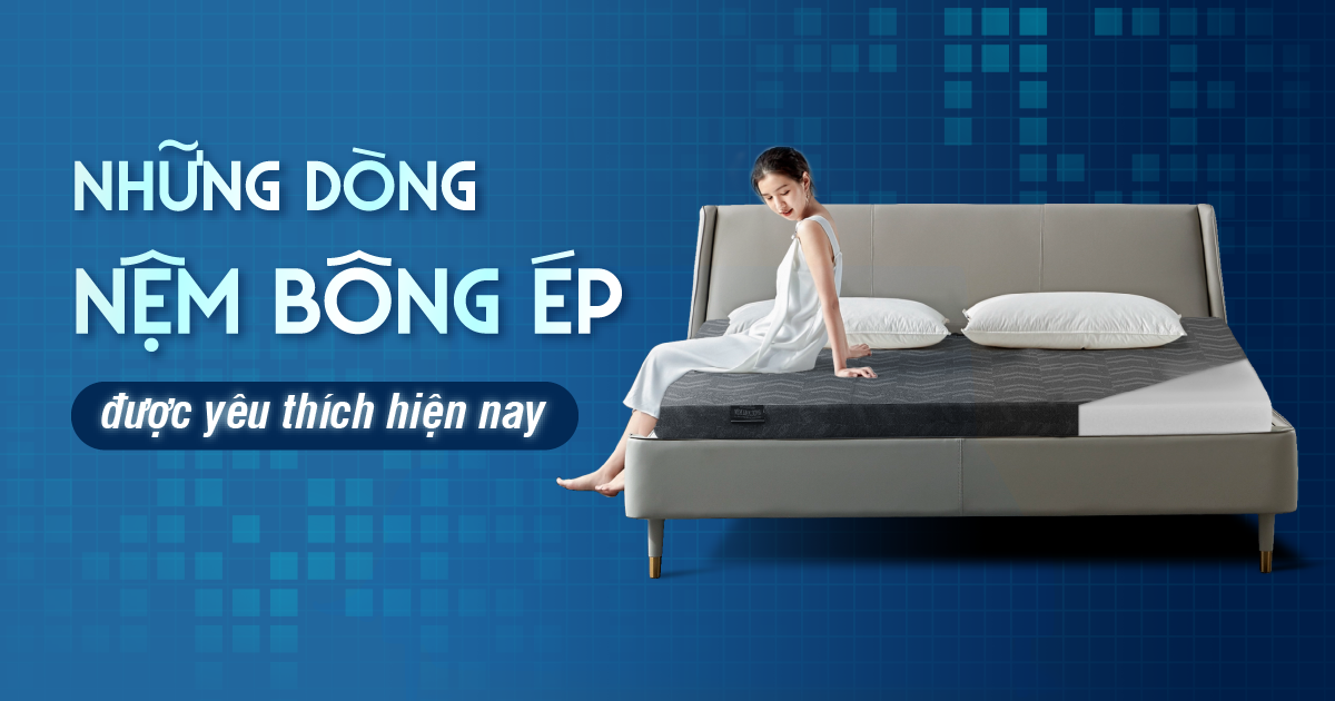 Nệm bông ép là gì, có những dòng nệm bông ép nào được yêu thích? 