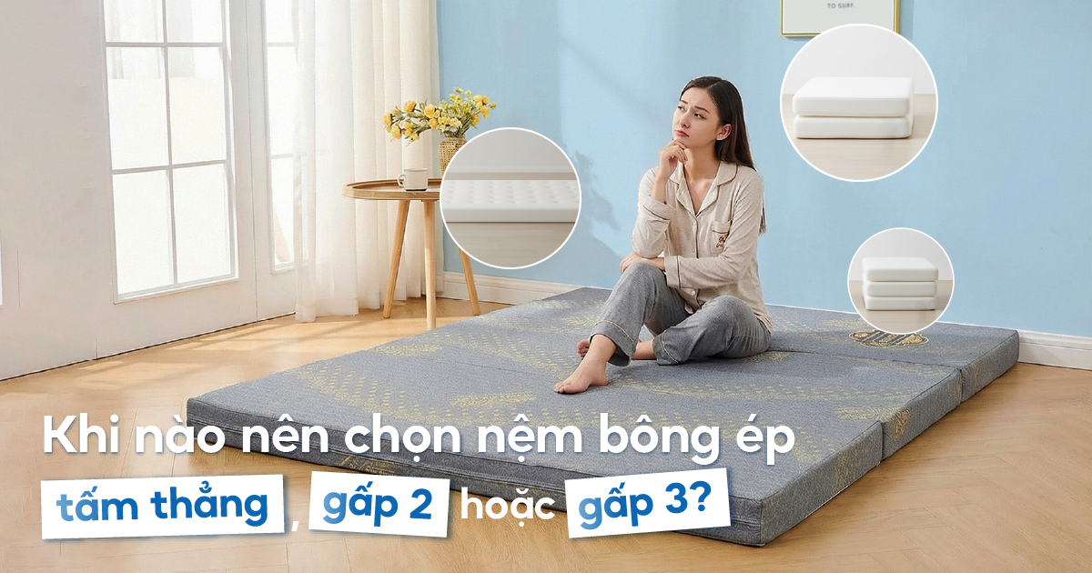 Nên chọn nệm bông ép tấm thẳng hay gấp 2, gấp 3? 
