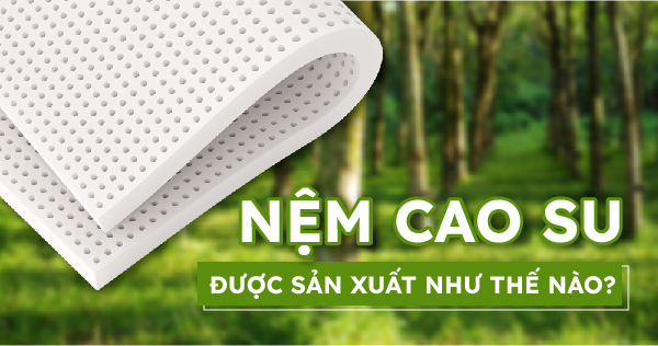 NỆM CAO SU ĐƯỢC SẢN XUẤT NHƯ THẾ NÀO? 