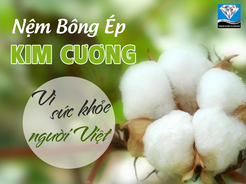 BẠN CÓ BIẾT LOẠI NỆM NÀO NẰM KHÔNG ĐAU LƯNG?