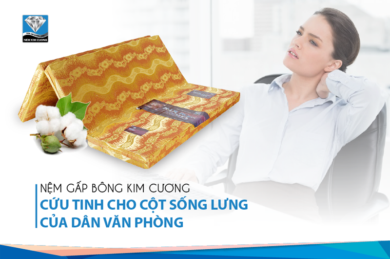 GIẢI PHÁP TUYỆT HẢO CHO GIẤC NGỦ TRƯA CỦA DÂN CÔNG SỞ