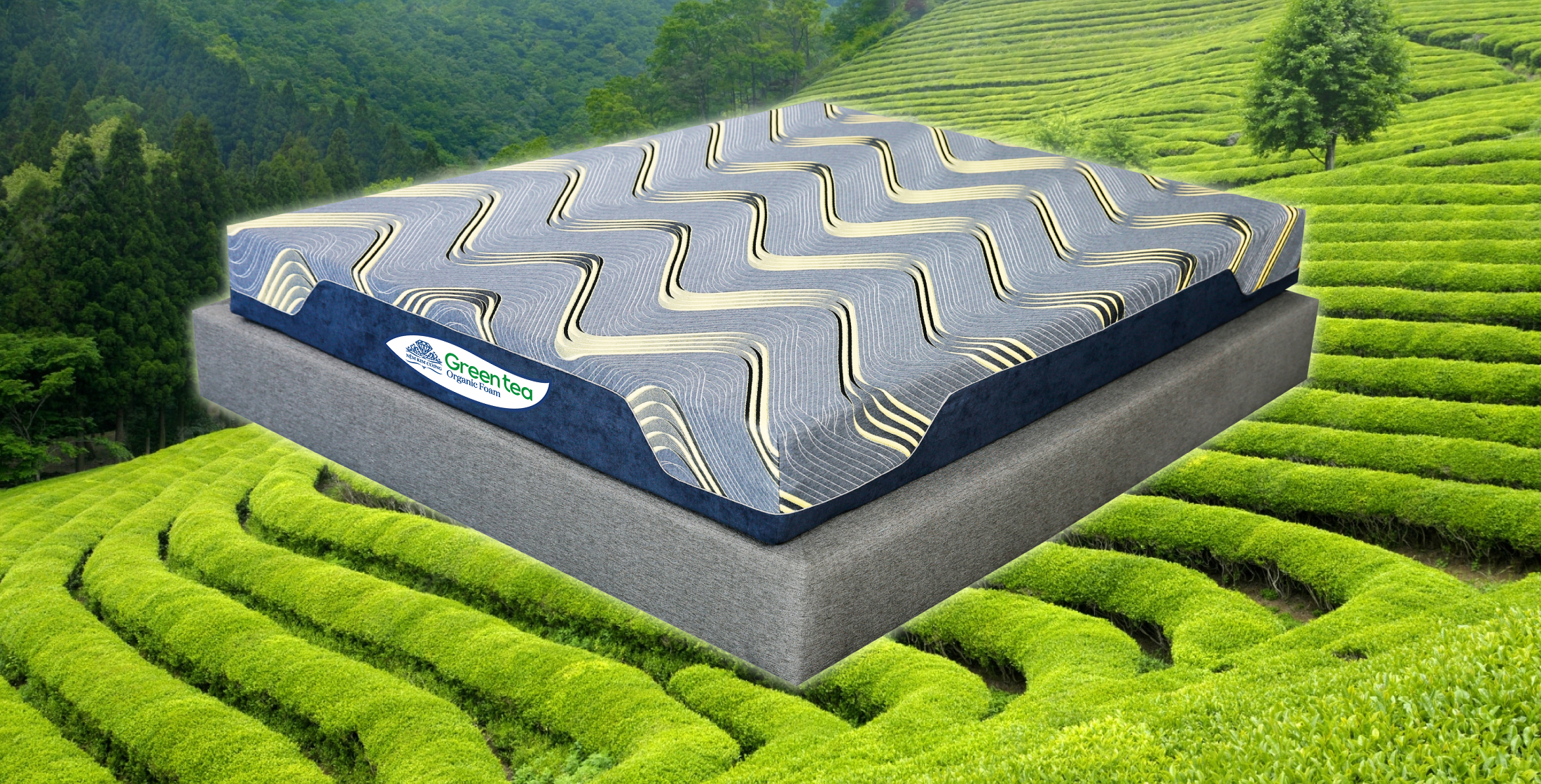 greenteafoam2_1.jpg