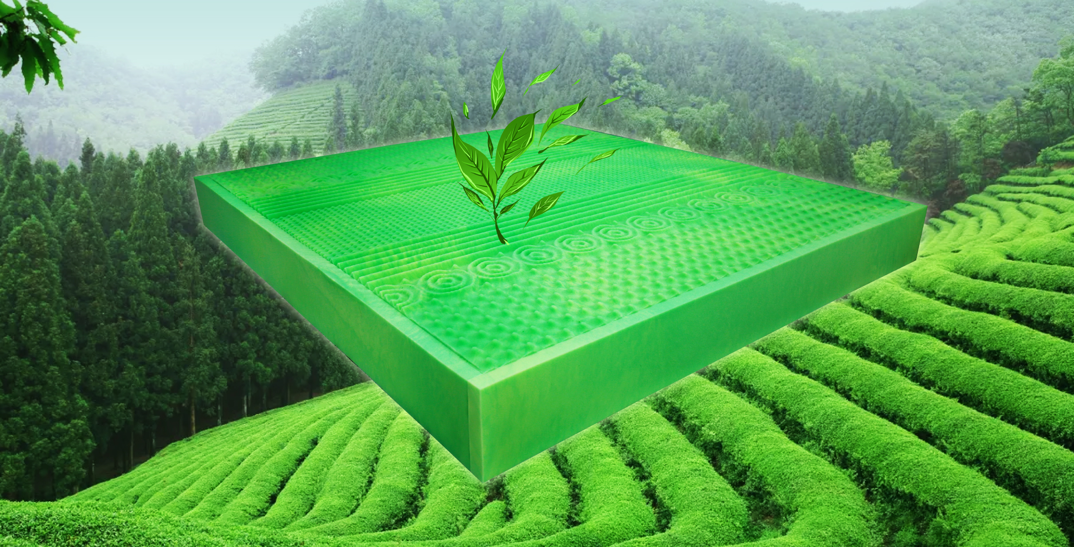 greenteafoam3.jpg