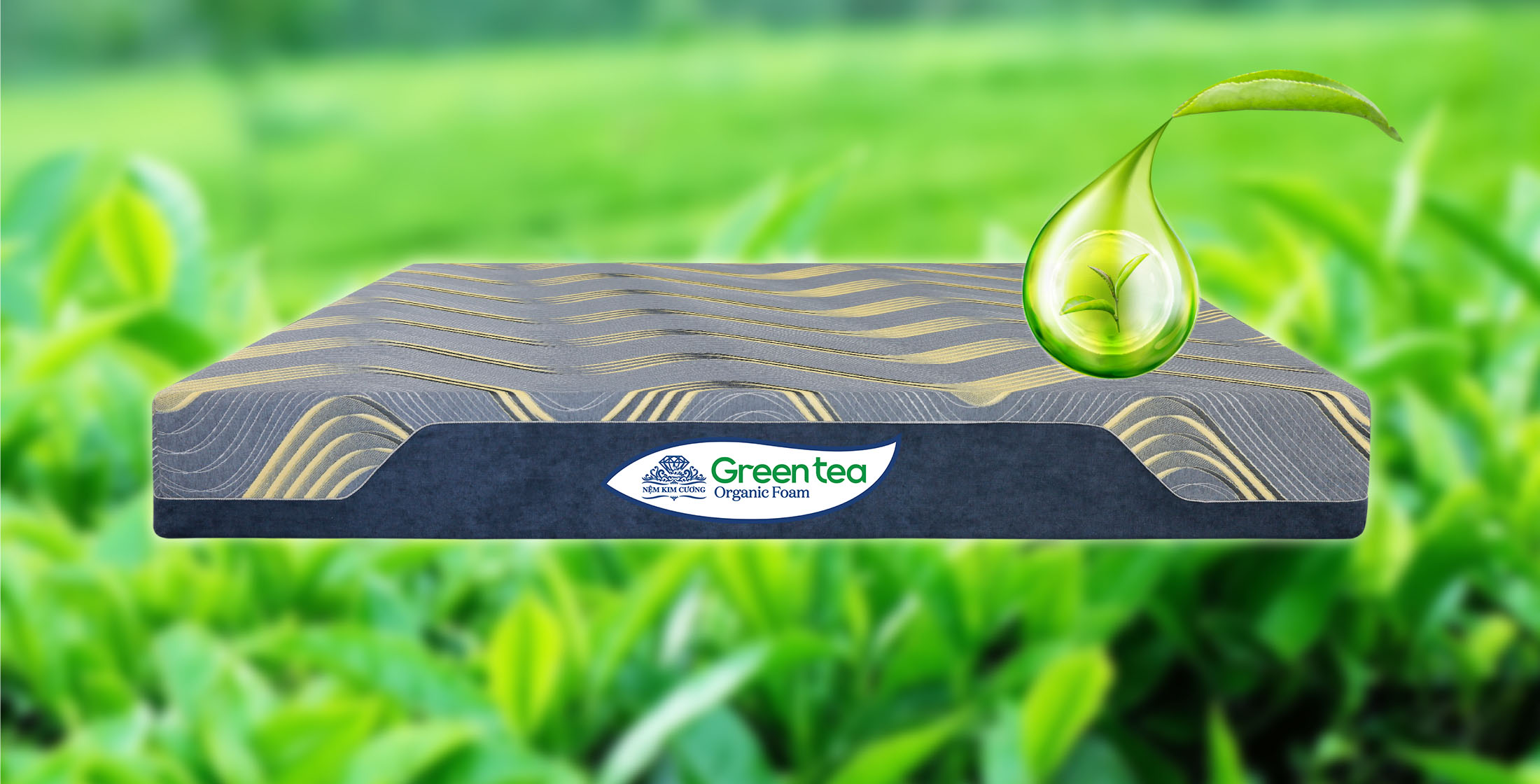 greenteafoam4_2.jpg