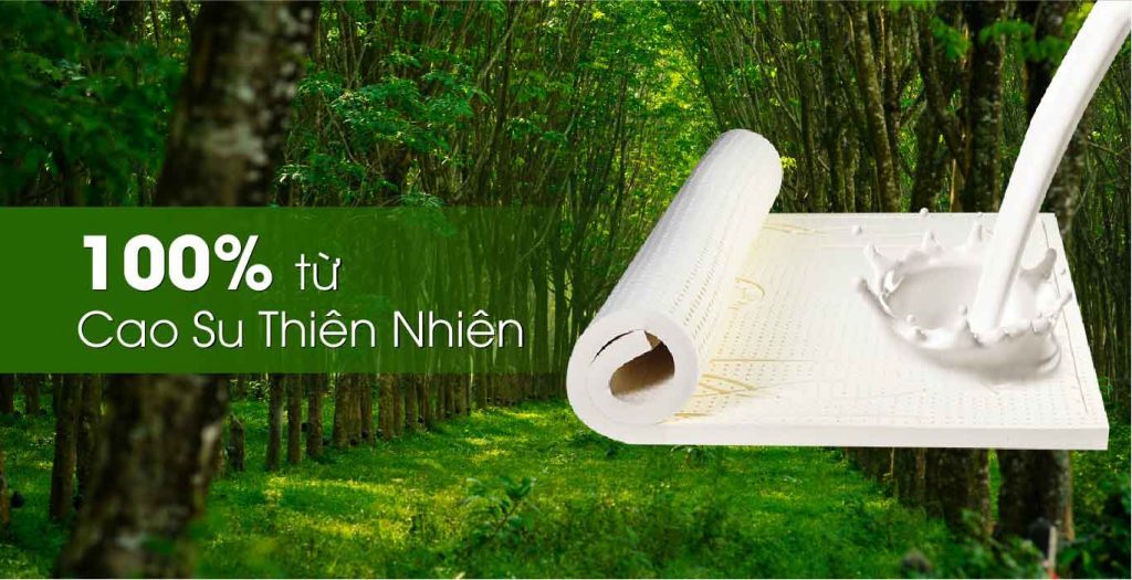 Vì sao nệm cao su thiên nhiên Kim Cương lại là lựa chọn số 1 của người tiêu dùng?