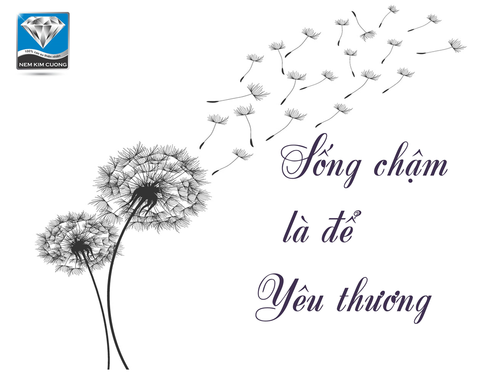 SỐNG CHẬM LẠI ĐỂ THẤY MÌNH ĐƯỢC YÊU