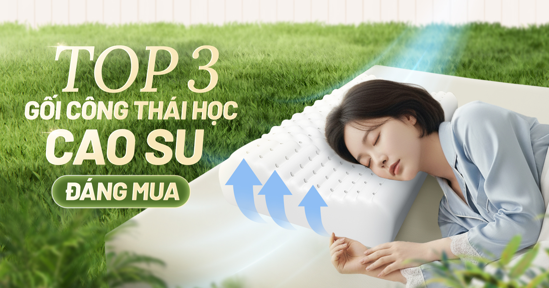 Gối công thái học là gì? Top 3 gối công thái học cao su đáng mua bạn cần biết