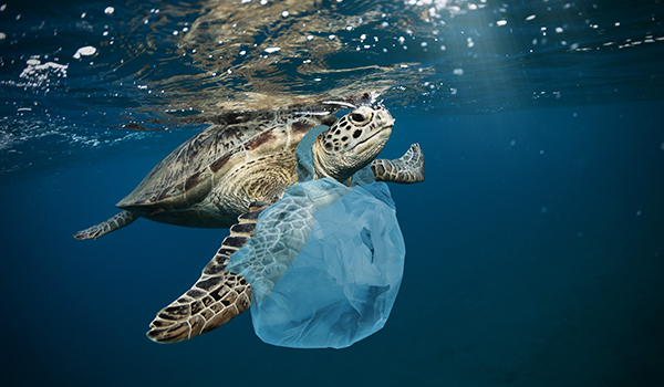 Plastic waste is destroying the planet earth