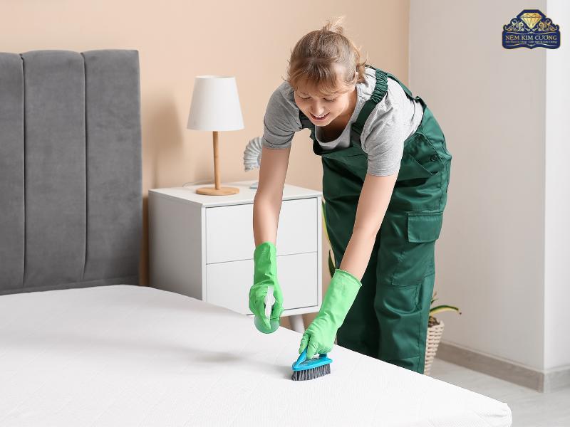 Hướng Dẫn Vệ Sinh Nệm Cao Su Tại Nhà Đúng Cách, Sạch Sẽ Và Bền Lâu