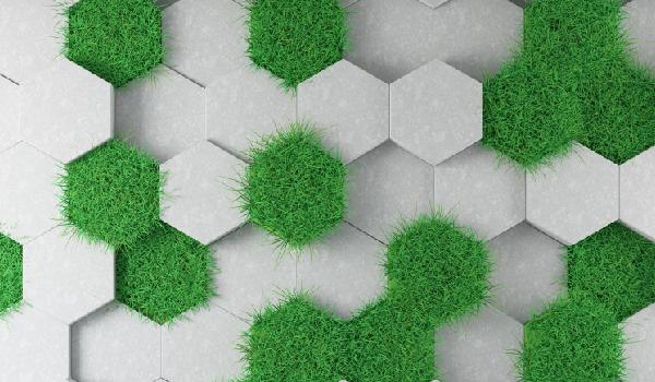 HEXAGONAL DESIGN – THE GIFT OF NATURE